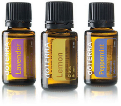 doTerra, aromatherapie, essentiële oliën, essenties, etherische oliën, etherisch, aroma, gezondheid, welzijn, planten, hoofdpijn, migraine, spierpijn, holistisch, preventief, hsp, natuurzuiver, therapie, aromatherapie breda, sheila Haanstra-van Kan, holistisch therapeut, in breda, wellness praktijk, kinderen, citroenolie, pepermuntolie, lavendel olie, essential oils